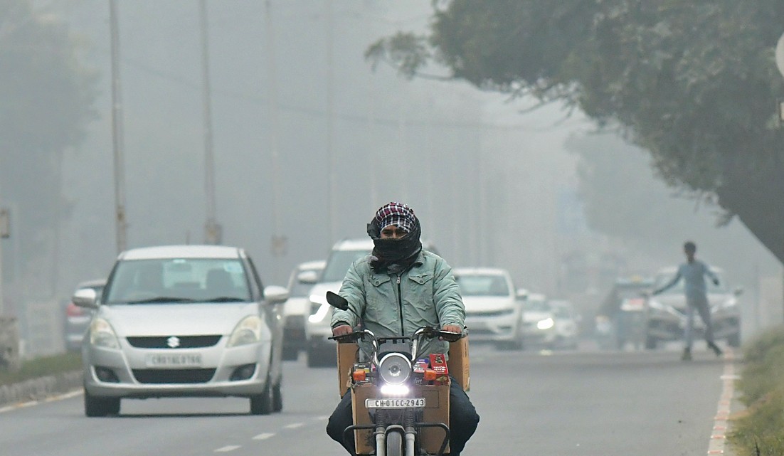 शीत लहर से दिन में कंपकंपी